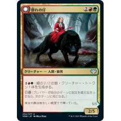 画像1: 【JPN】群れの仔/野蛮な群友/Child of the Pack/Savage Packmate[MTG_VOW_234U]