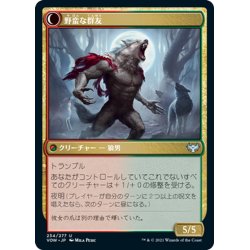 画像2: 【JPN】群れの仔/野蛮な群友/Child of the Pack/Savage Packmate[MTG_VOW_234U]