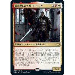 画像1: 【JPN】血に呪われた者、オドリック/Odric, Blood-Cursed[MTG_VOW_243R]