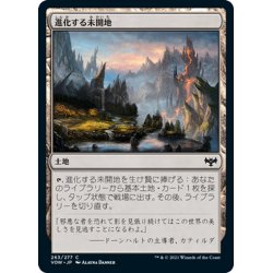 画像1: 【JPN】進化する未開地/Evolving Wilds[MTG_VOW_263C]