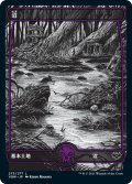 【JPN】沼/Swamp[MTG_VOW_273L]