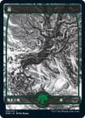 【JPN】★Foil★森/Forest[MTG_VOW_276L]