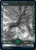 【ENG】森/Forest[MTG_VOW_276L]