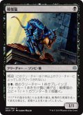 【JPN】戦慄猫/Dreadmalkin[MTG_WAR_087U]