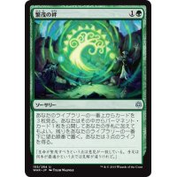 【JPN】繁茂の絆/Bond of Flourishing[MTG_WAR_155U]