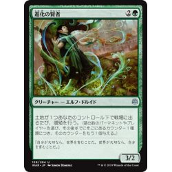 画像1: 【JPN】進化の賢者/Evolution Sage[MTG_WAR_159U]