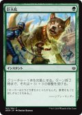 【JPN】巨大化/Giant Growth[MTG_WAR_162C]