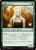 【JPN】楽園のドルイド/Paradise Druid[MTG_WAR_171U]