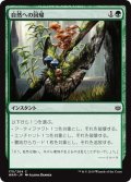 【JPN】自然への回帰/Return to Nature[MTG_WAR_175C]