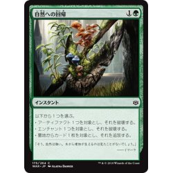 画像1: 【JPN】自然への回帰/Return to Nature[MTG_WAR_175C]