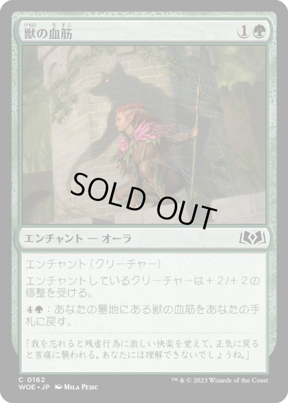 画像1: 【JPN】獣の血筋/Bestial Bloodline[MTG_WOE_0162_C] (1)