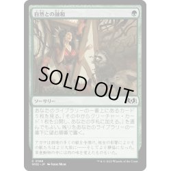 画像1: 【JPN】自然との融和/Commune with Nature[MTG_WOE_0166_C]