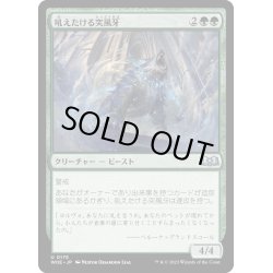 画像1: 【JPN】吼えたける突風牙/Howling Galefang[MTG_WOE_0175_U]