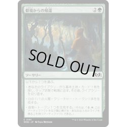 画像1: 【JPN】僻境からの帰還/Return from the Wilds[MTG_WOE_0181_C]