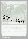 【JPN】剛力化/Titanic Growth[MTG_WOE_0191_C]