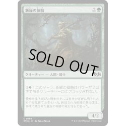 画像1: 【JPN】新緑の偵騎/Verdant Outrider[MTG_WOE_0196_C]