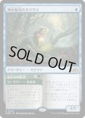 【JPN】神出鬼没のカワウソ/Elusive Otter[MTG_WOE_0225_R]