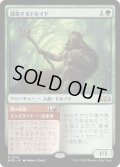 【JPN】探索するドルイド/Questing Druid[MTG_WOE_0234_R]