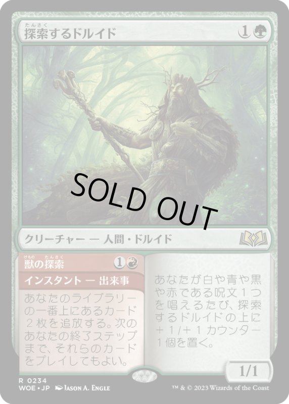 画像1: 【JPN】探索するドルイド/Questing Druid[MTG_WOE_0234_R] (1)