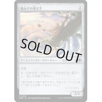 【JPN】案山子の導き手/Scarecrow Guide[MTG_WOE_0250_C]