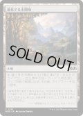 【JPN】進化する未開地/Evolving Wilds[MTG_WOE_0256_C]