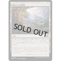 画像1: 【JPN】★Foil★進化する未開地/Evolving Wilds[MTG_WOE_0256_C]