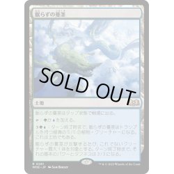 画像1: 【JPN】★Foil★眠らずの蔓茎/Restless Vinestalk[MTG_WOE_0261_R]