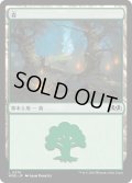 【JPN】森/Forest[MTG_WOE_0276_L]