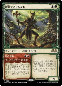 【JPN】★Foil★探索するドルイド/Questing Druid[MTG_WOE_0294_R]