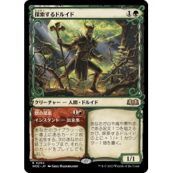 画像1: 【JPN】★Foil★探索するドルイド/Questing Druid[MTG_WOE_0294_R]