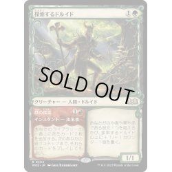 画像1: 【JPN】探索するドルイド/Questing Druid[MTG_WOE_0294_R]