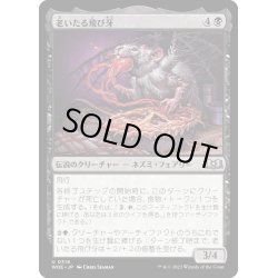 画像1: 【JPN】老いたる飛び牙/Old Flitterfang[MTG_WOE_0316_U]