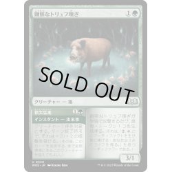 画像1: 【JPN】剛胆なトリュフ嗅ぎ/Intrepid Trufflesnout[MTG_WOE_0320_U]