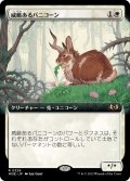 【JPN】威厳あるバニコーン/Regal Bunnicorn[MTG_WOE_0326_R]