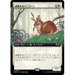 画像1: 【JPN】威厳あるバニコーン/Regal Bunnicorn[MTG_WOE_0326_R]