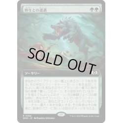 画像1: 【JPN】野生との遭遇/Feral Encounter[MTG_WOE_0356_R]