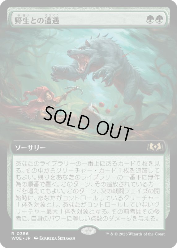 画像1: 【JPN】野生との遭遇/Feral Encounter[MTG_WOE_0356_R] (1)