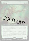 【JPN】僻森の師/Wildwood Mentor[MTG_WOE_0374_R]