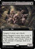 【ENG】★Foil★もつれる群体/Tangled Colony[MTG_WOE_0344_R]