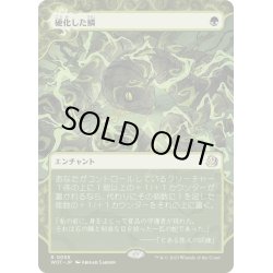 画像1: 【JPN】硬化した鱗/Hardened Scales[MTG_WOT_0055_R]