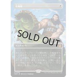 画像1: 【JPN】土地税/Land Tax [MTG_WOT_0066_M]