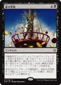 【JPN】富の享楽/Revel in Riches[XLN_117R]