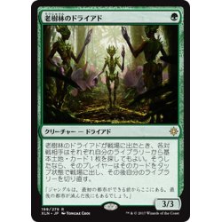 画像1: 【JPN】老樹林のドライアド/Old-Growth Dryads[XLN_199R]