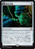 【JPN】原初の呪物/Primal Amulet[XLN_243R]