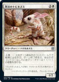 【JPN】峡谷のトビネズミ/Canyon Jerboa[MTG_ZNR_007U]