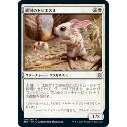 画像1: 【JPN】峡谷のトビネズミ/Canyon Jerboa[MTG_ZNR_007U]