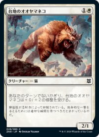 【JPN】台地のオオヤマネコ/Mesa Lynx[MTG_ZNR_028C]