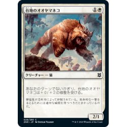 画像1: 【JPN】台地のオオヤマネコ/Mesa Lynx[MTG_ZNR_028C]