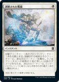 【JPN】訓練された戦術/Practiced Tactics[MTG_ZNR_032C]