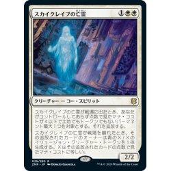 画像1: 【JPN】スカイクレイブの亡霊/Skyclave Apparition[MTG_ZNR_039R]